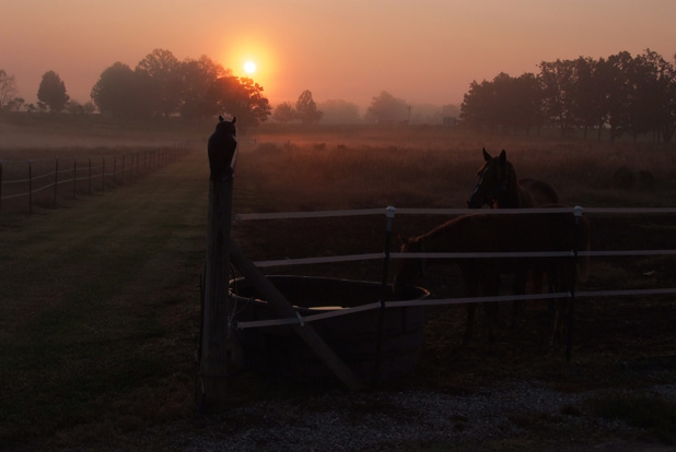 Photos from the 60th Missouri Photo Workshop