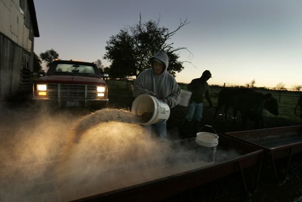 Photo by Allen Schaben / MPW.57